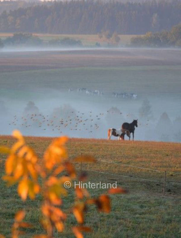Wohlfühlort und Goldschmiede mit Weitblick 