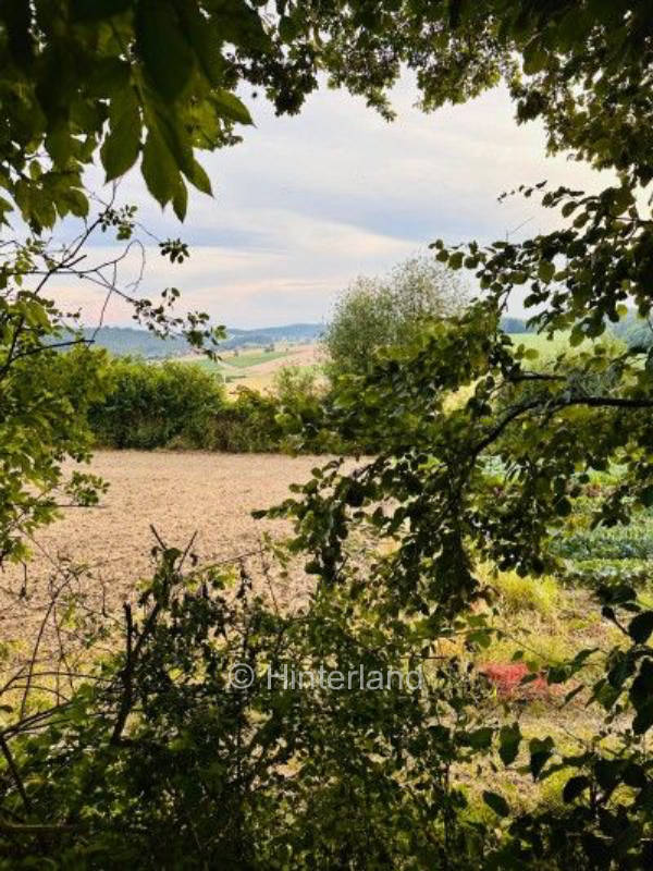 Camping auf dem Bio-Bauernhof im Gutenecker Tal