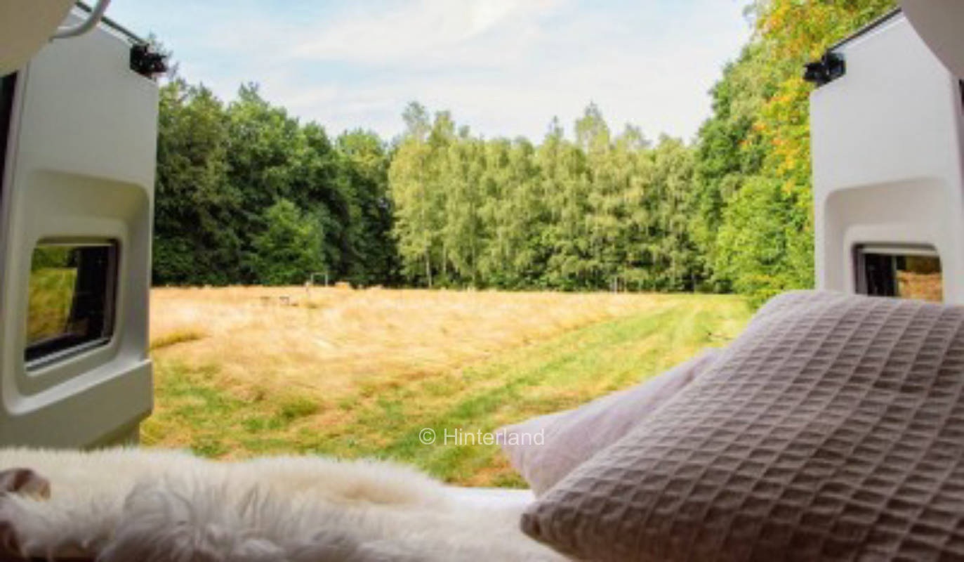 Ruhiger Stellplatz mit Harzblick am Buchenwald