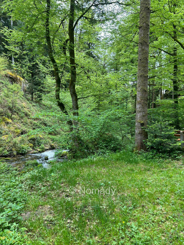 One-Night-Camp Höllbach