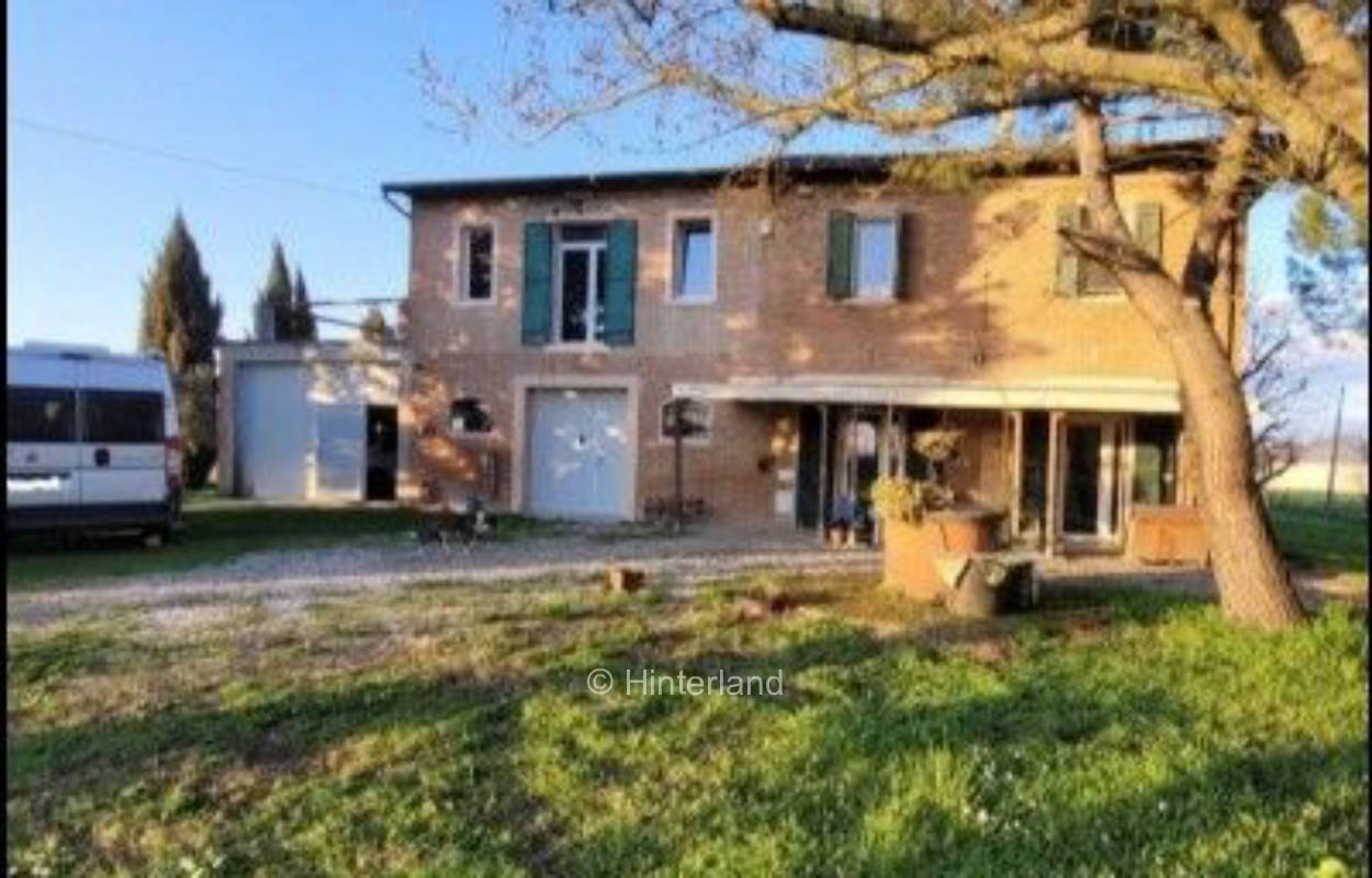 Der krumme Pflaumenbaum
