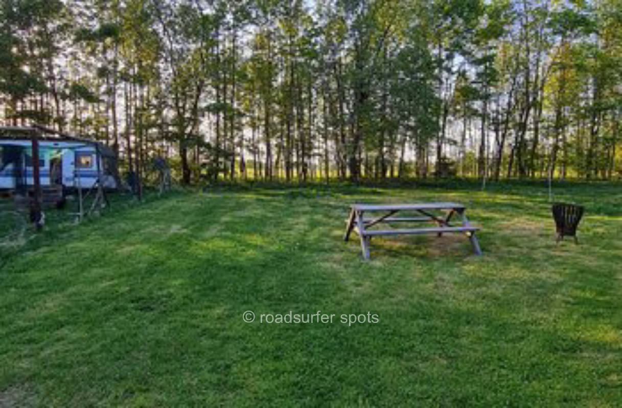 "Ollywood" - forest and meadow place in quiet location