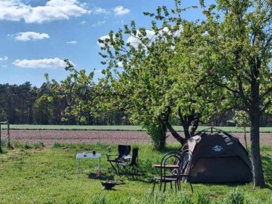 Schnuckeliger Zeltplatz auf kleiner Obstwiese
