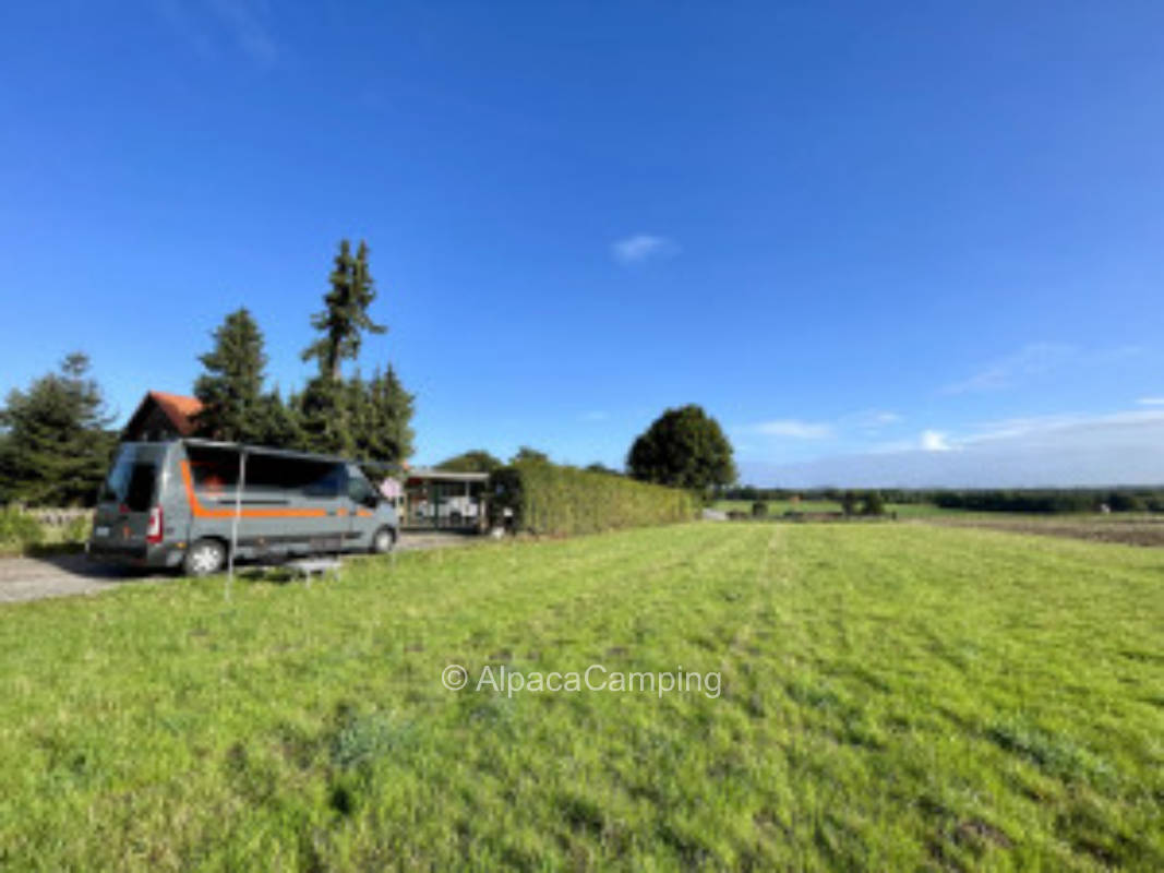 Honigtraum im grünen Recklinghausen #2