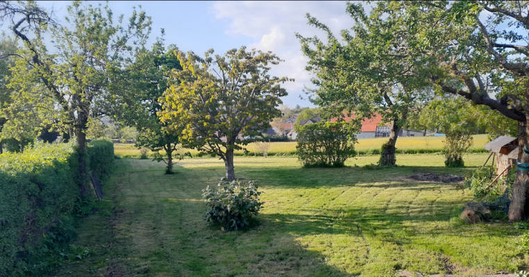 Orchard at the Village Edge
