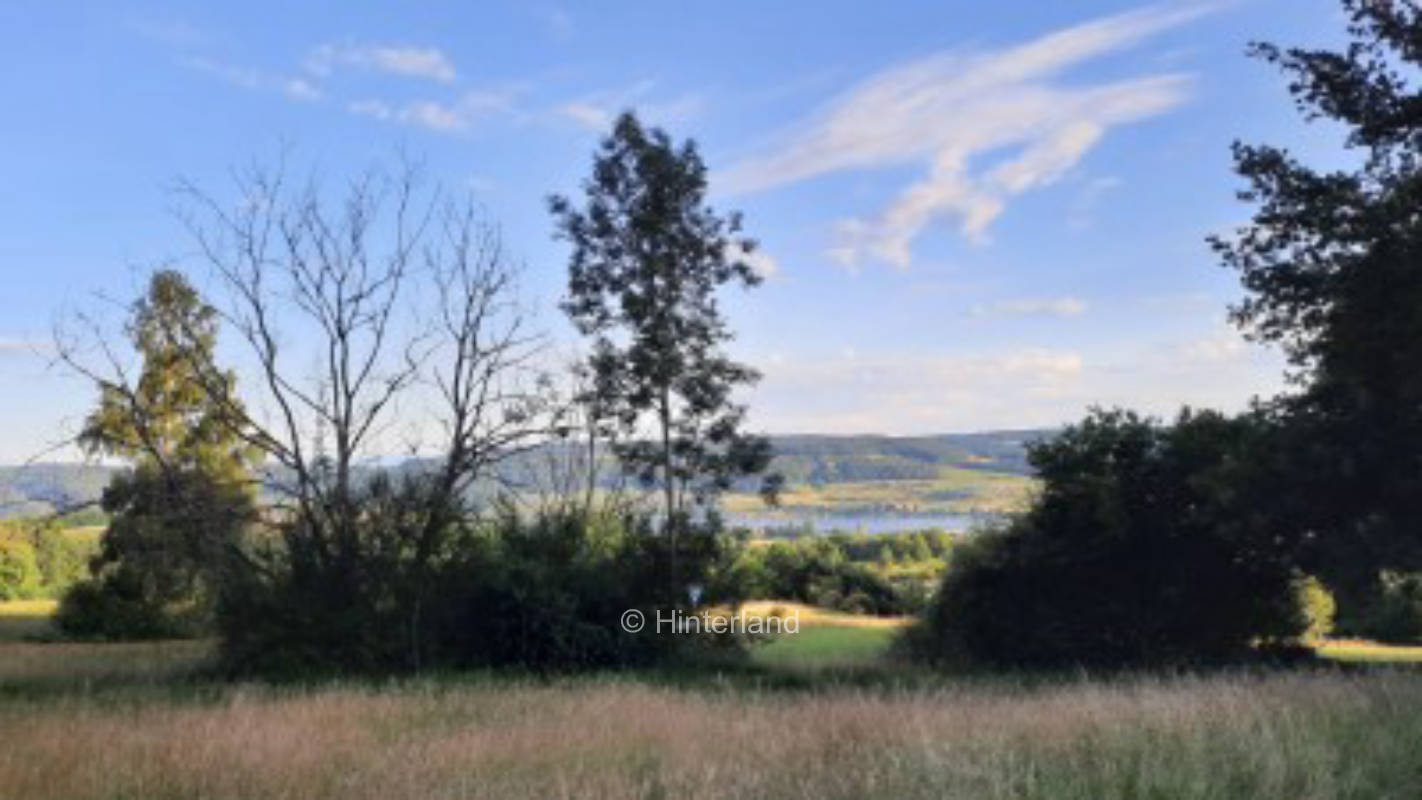 Aussiedlerhof auf der Bodenseehalbinsel Höri