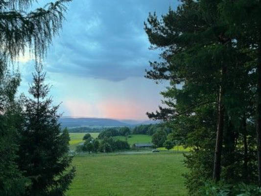 5m pitch in the forest with a view of Saalfelder Höhe