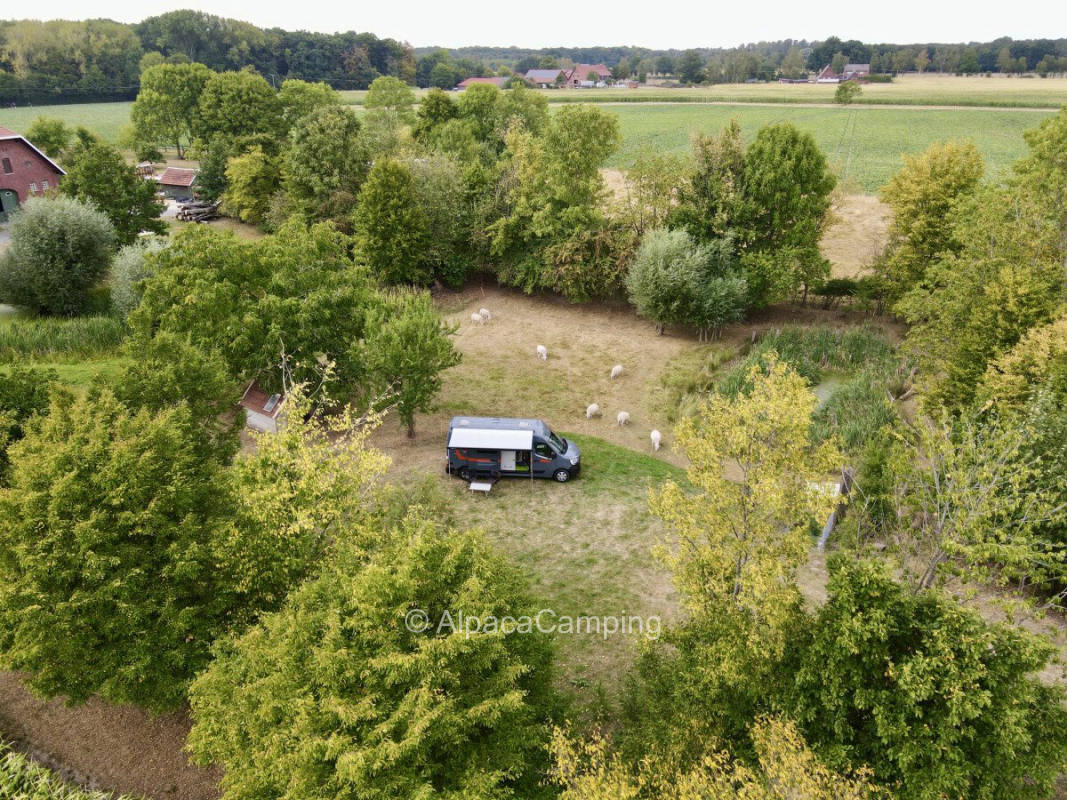 Münsterland park landscape