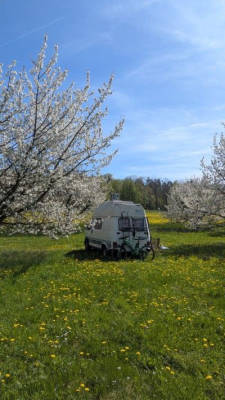 Pitch in the Kirschgarten