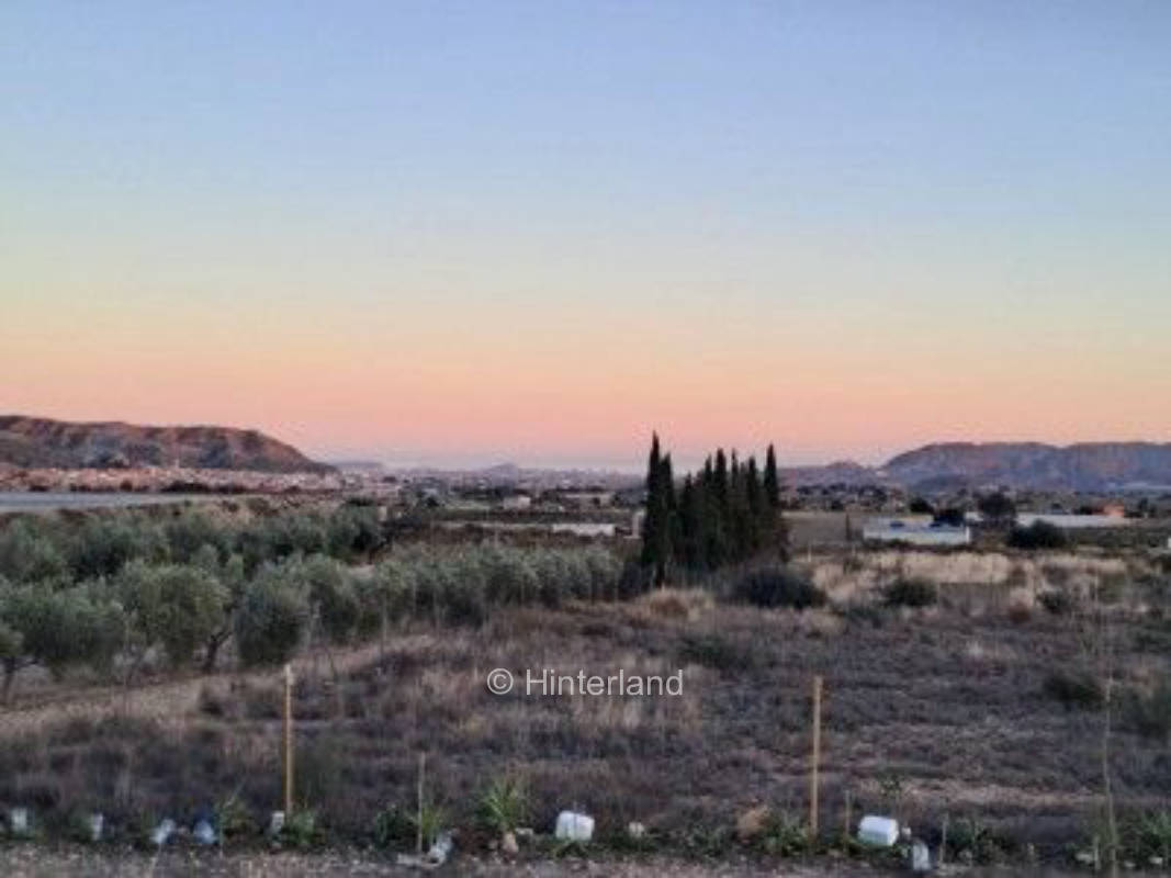 Retiro rural: viñedos, olivos y vistas al mar