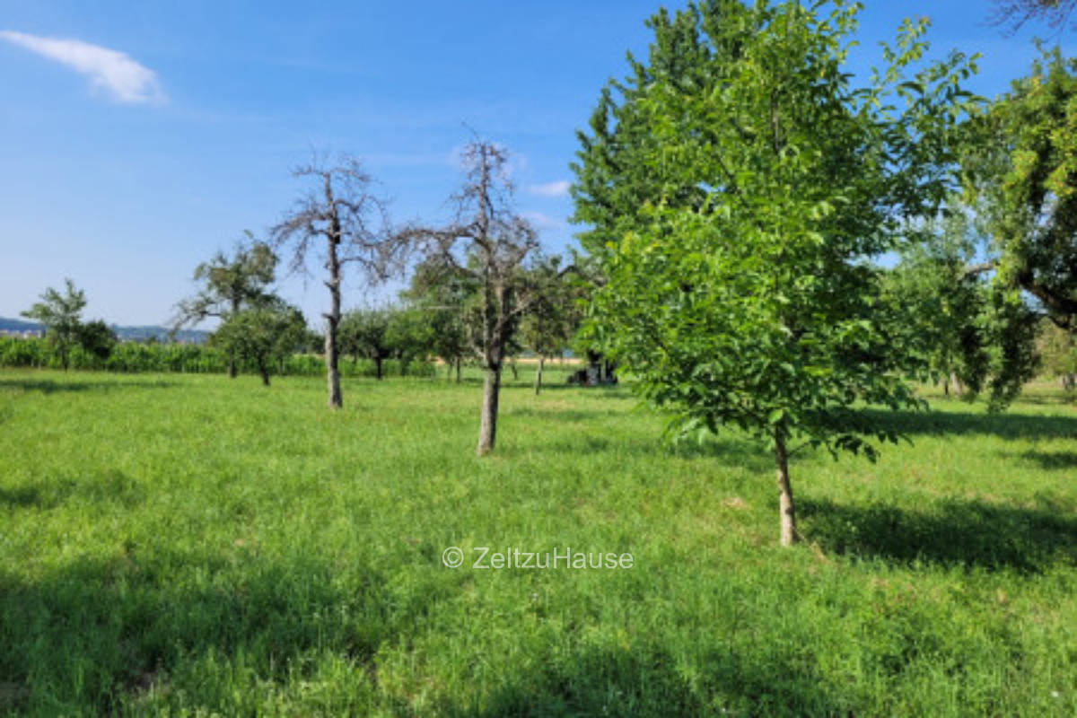 Orchard meadow with barbecue area