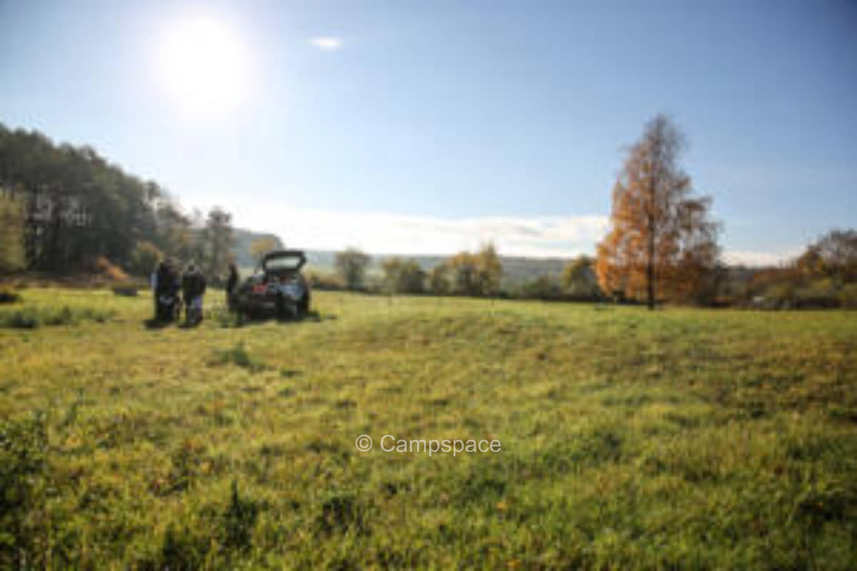Pitch in the middle of afforestation - dog paradise in Marnitz