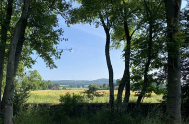 Gutshof Camping am Teuteburger Wald