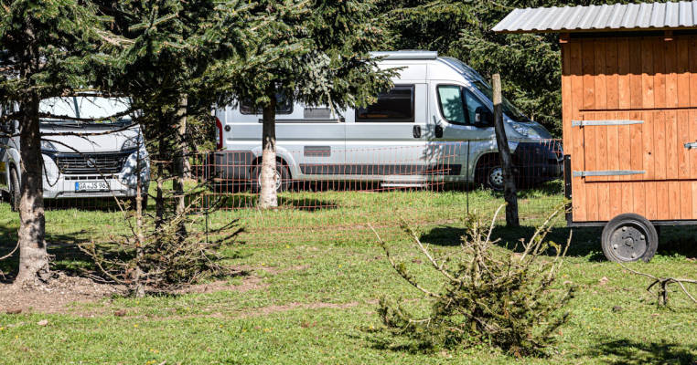 Werderaner Tannenhof | Camping on the Tree Farm