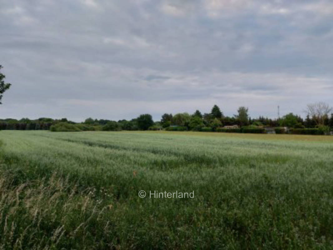 Abtauchen in den Gärten - Boizenburg 