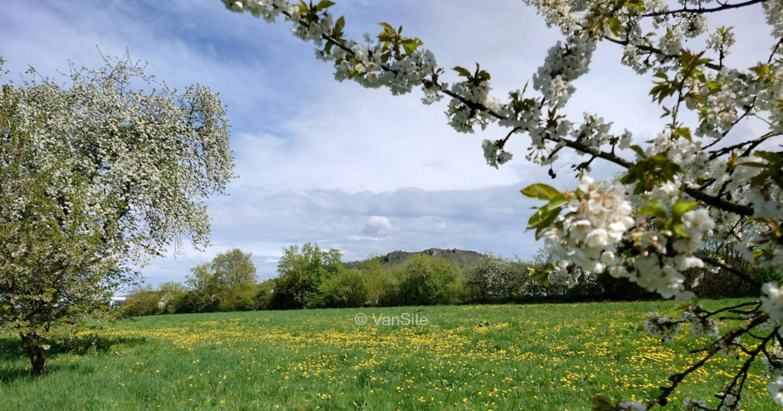 Streuobstwiese am Fuße des Walberlas