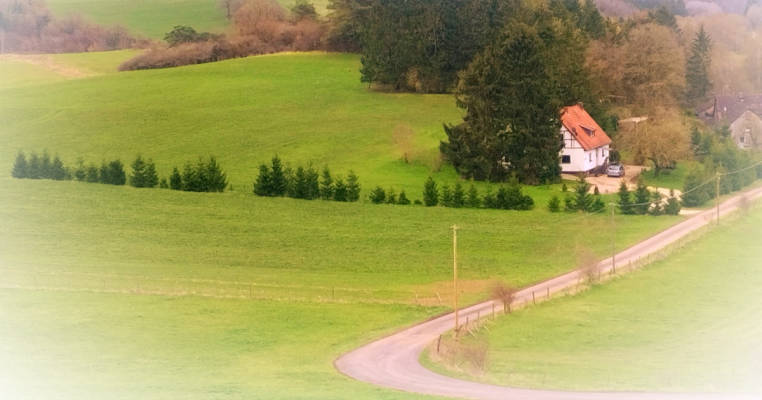 Romantic meadow landscape