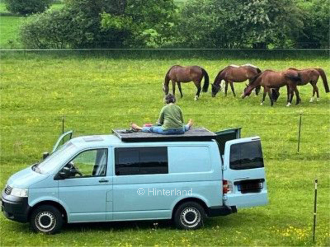 Einsamer Resthof, Natur pur am Welmbüttler Wald