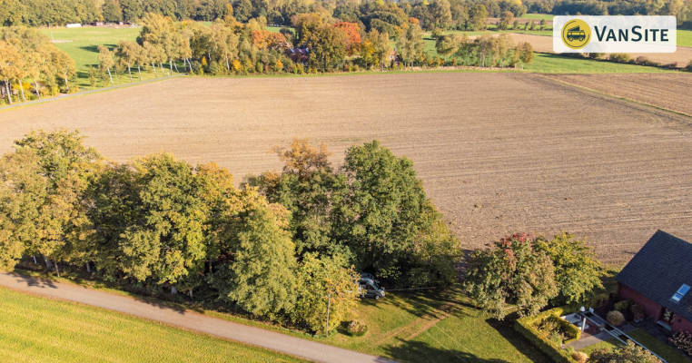 Wiese am Wäldchen