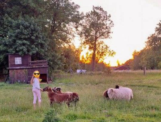 Sleep Among the Sheep in the Auenland of the Recknitz