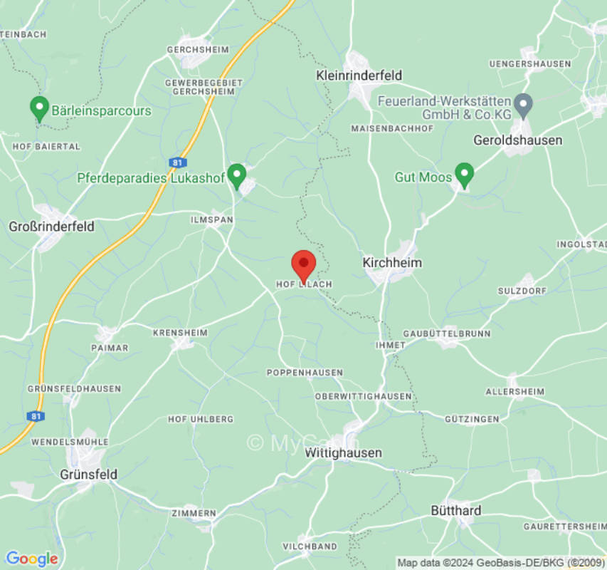 Stammplatz am Sägewerk