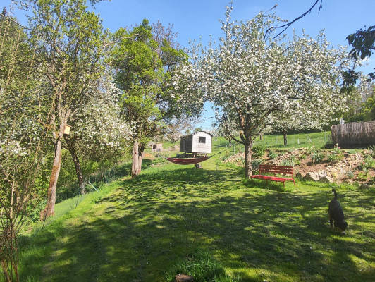 Unter dem walnussbaum
