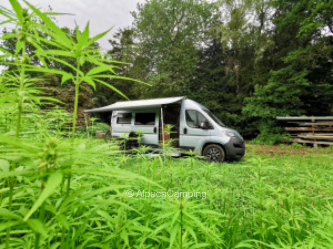 "Ruhige Lage am Waldrand in Stadtnähe" #1