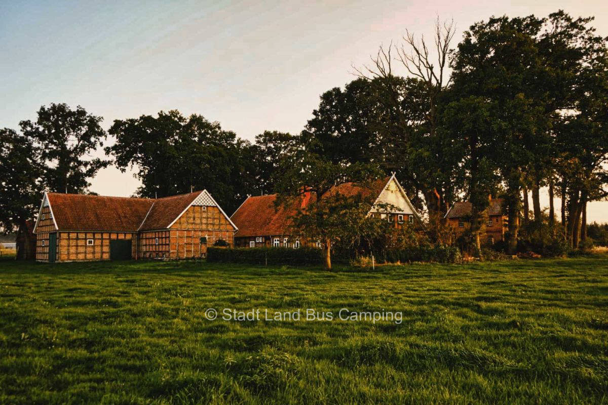 Artländer Gallowayhof- An der Weide