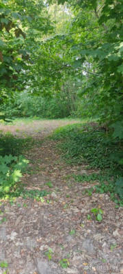 Wiesenblick - Privatstellplatz