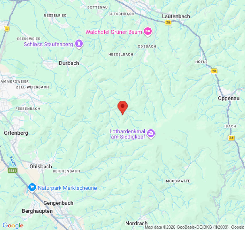 Natur Camping Hölzleberg im Schwarzwald mit Pool