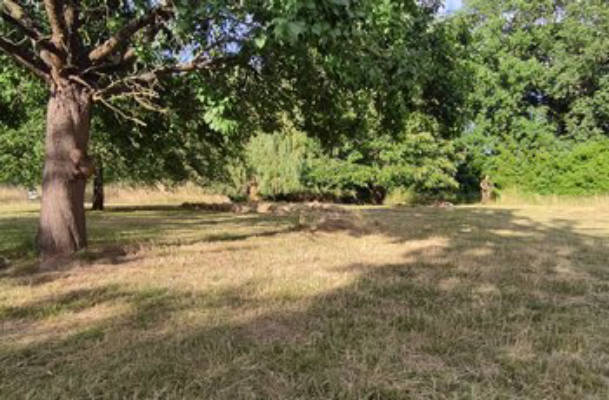 Natural garden