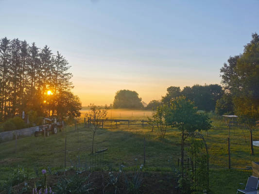 Lebenshofalpakas camping