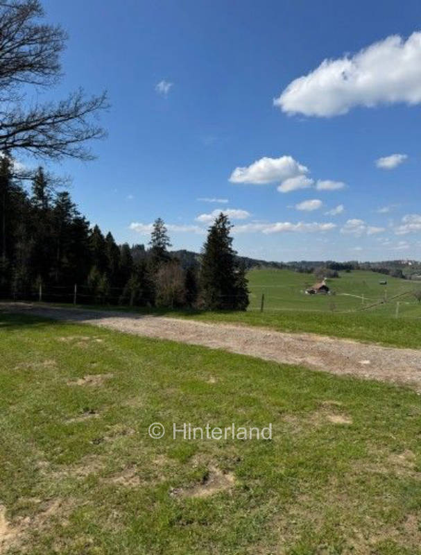 Tolle Aussicht an einem abgelegenen Platz am Wald
