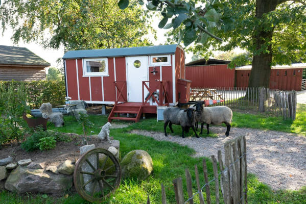 Shepherds wagons on the arche hof