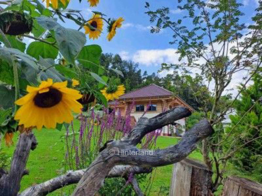 -Autark- am Blockhaus im Spessart am Waldrand