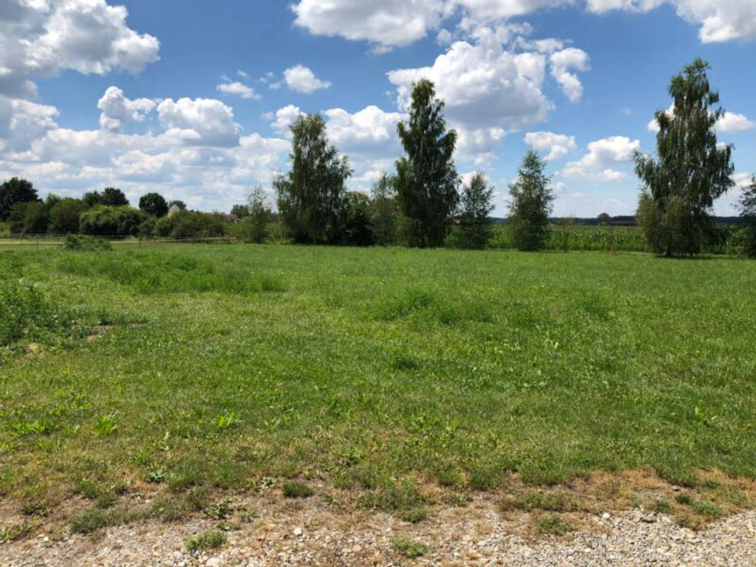 Idyllic nature camping near Ulm