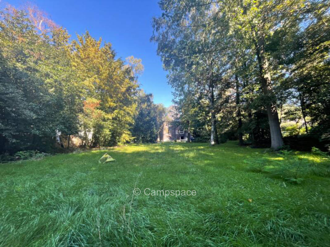 Walderlebnis mitten in der Stadt Schalke