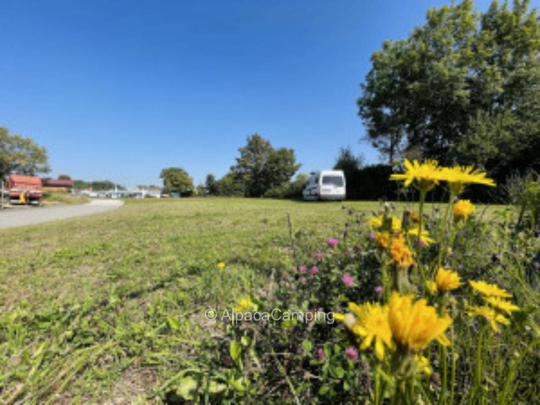 Meadow with view of cow pasture #1