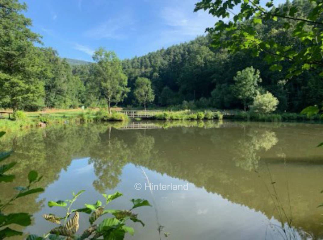 Camping in a secluded location in the Bavarian Rhön Nature Park