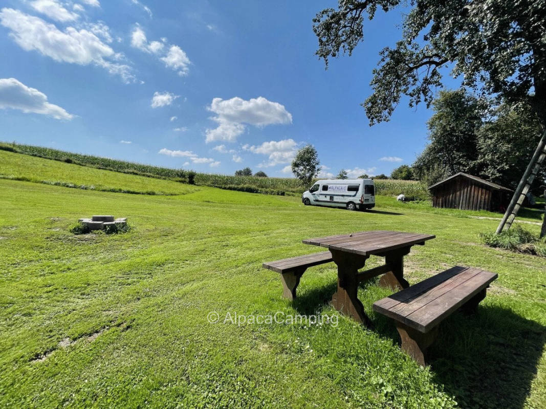 At the farm #1