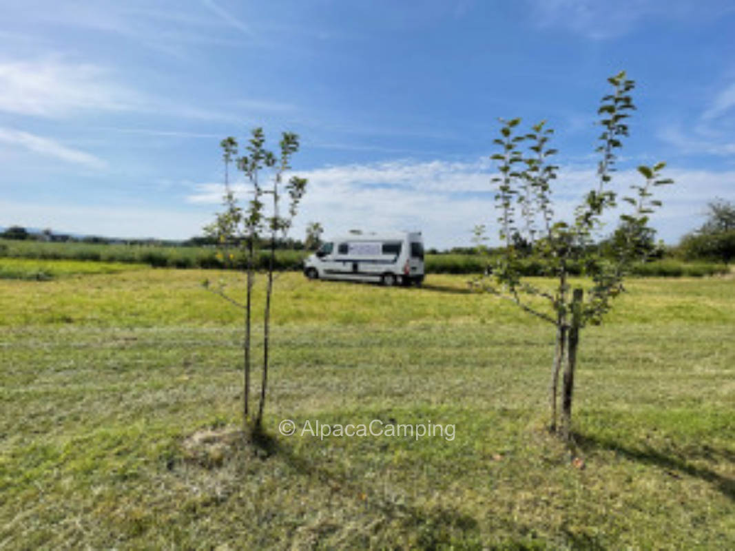 In the sunny Markgräflerland only 1 day bookable #3