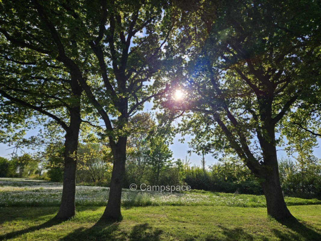 Campspace in Arpsdorf, Schleswig-Holstein