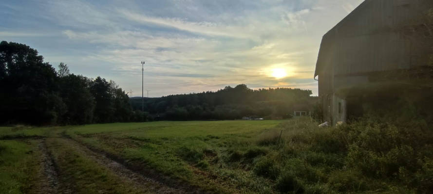 Wiese am waldrand mit aussicht