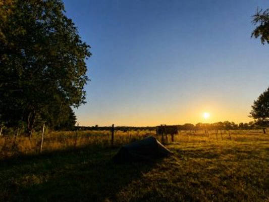 Pferdeweiden am Naturschutzgebiet Lüneburger Heide