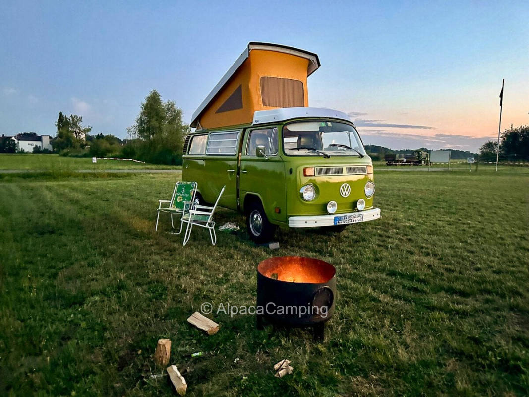 AlpacaCamping 82