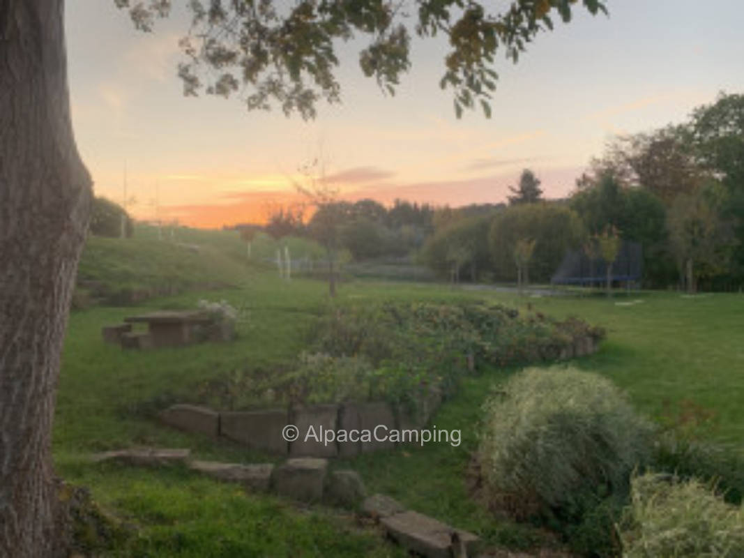 Behind the yard in the garden #1