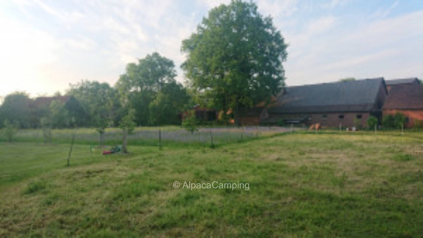 At the old farm #2