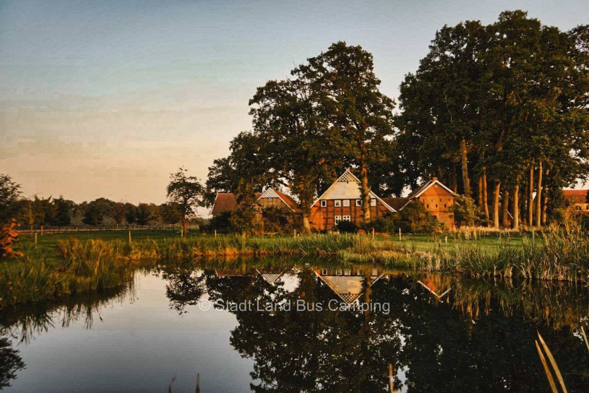 Artländer Gallowayhof - On the farm