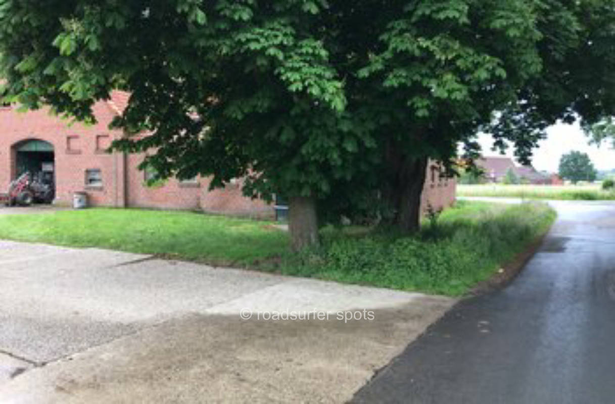 Campen unter Kastanien