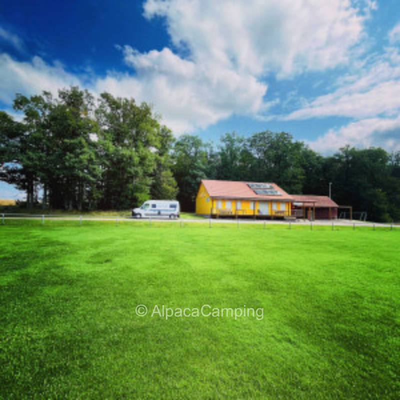 AlpacaCamping 768